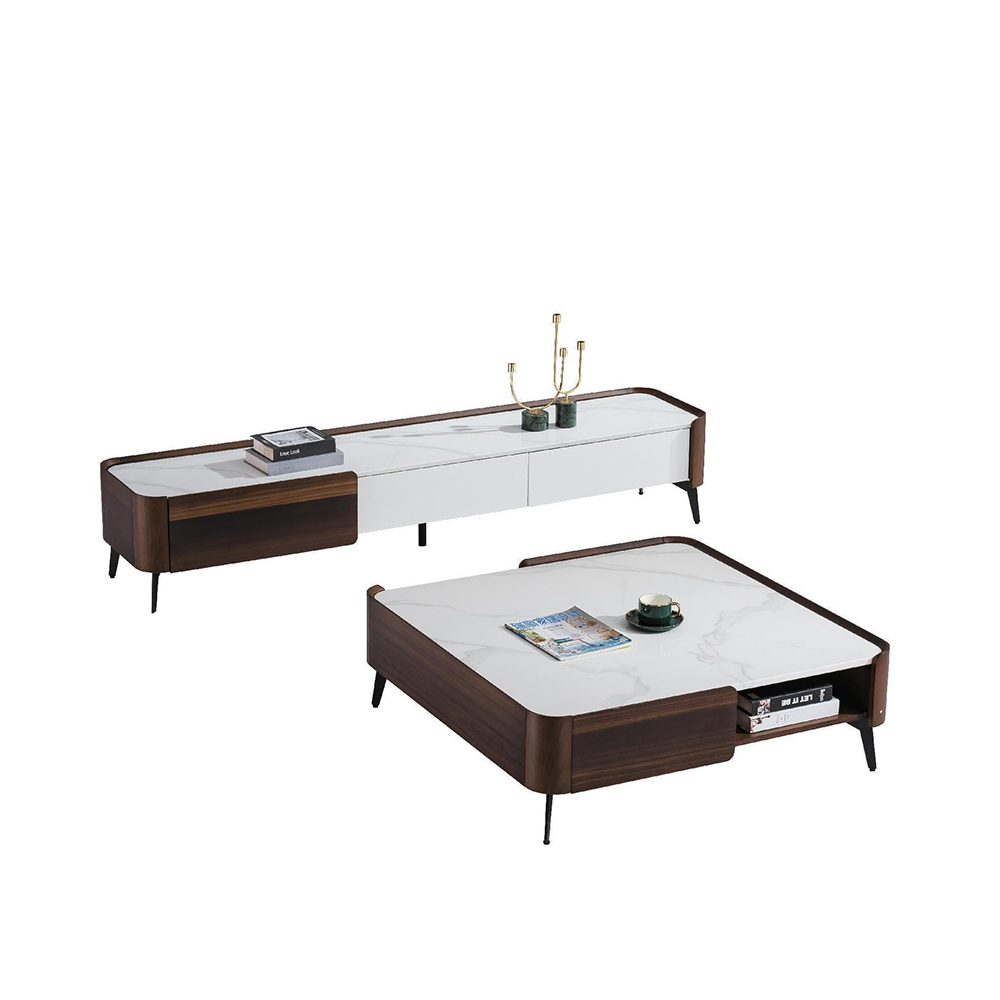 Modern Coffee Table 009